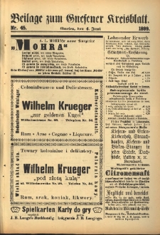 Beilage zum Gnesener Kreisblatt. 1899.06.04 Nr45