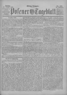 Posener Tageblatt 1899.10.20 Jg.38 Nr495