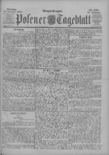 Posener Tageblatt 1899.11.14 Jg.38 Nr536