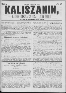 Kaliszanin : gazeta miasta Kalisza i jego okolic