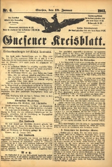 Gnesener Kreisblatt 1903.01.18 Nr6