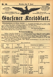 Gnesener Kreisblatt 1903.06.07 Nr46