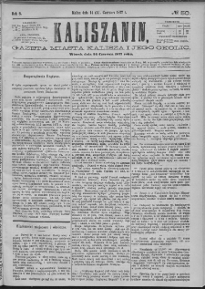 Kaliszanin : gazeta miasta Kalisza i jego okolic