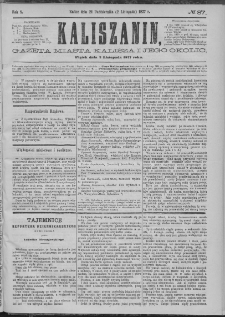 Kaliszanin : gazeta miasta Kalisza i jego okolic