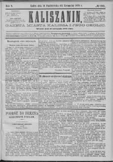 Kaliszanin : gazeta miasta Kalisza i jego okolic