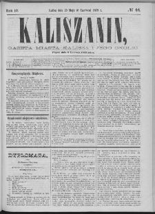 Kaliszanin : gazeta miasta Kalisza i jego okolic
