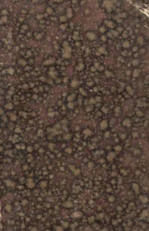 Johann Gotzkowsky, der patriotische B&uuml;rger von Berlin : Erz&auml;hlung aus dem siebenj&auml;hrigen Kriege