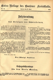 Extra-Beilage des Gnesener Kreisblatts 1904.06.12 Nr47