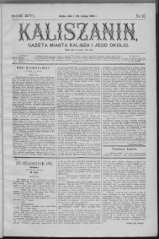 Kaliszanin : gazeta miasta Kalisza i jego okolic