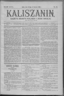 Kaliszanin : gazeta miasta Kalisza i jego okolic