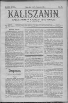 Kaliszanin : gazeta miasta Kalisza i jego okolic