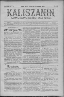 Kaliszanin : gazeta miasta Kalisza i jego okolic