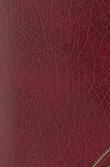 Biblioteczka dla dziatwy i młodzieży polskiej. T.5