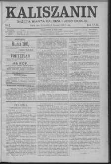 Kaliszanin : gazeta miasta Kalisza i jego okolic