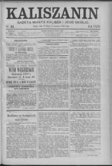 Kaliszanin : gazeta miasta Kalisza i jego okolic