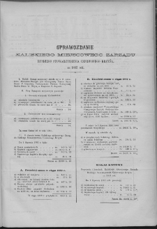 Kaliszanin : gazeta miasta Kalisza i jego okolic