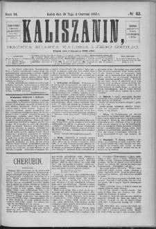 Kaliszanin : gazeta miasta Kalisza i jego okolic