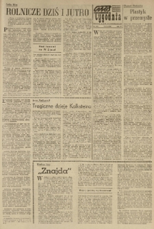 Głos Tygodnia. Dodatek Głosu Wielkopolskiego. 1964.04.19 R.4 nr131