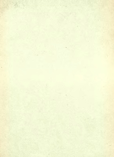 Przyczynek do znajomości solidów Bolesława Chrobrego