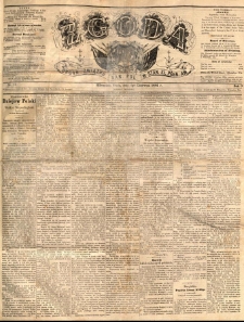 Zgoda : organ Związku Narodowego Polskiego w Stanach Zjednoczonych Północnej Ameryki. 1884.06.04 R.3 No.13