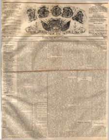 Zgoda : organ Związku Narodowego Polskiego w Stanach Zjednoczonych Północnej Ameryki. 1885.07.01 R.4 No.17