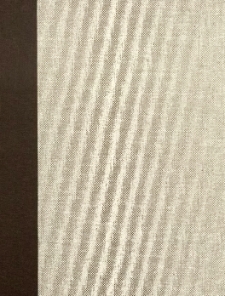 Zarys rozporządzenia dotyczącego nowego urządzenia władz Towarzystwa Kredytowego Ziemstwa w Wielkiem Księstwie Poznańskiem