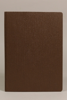 Speculum animae peccatricis