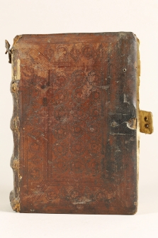 Sermones quadragesimales de peccatis etc.