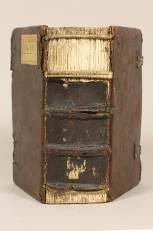 Summa angelica de casibus conscientiae, cum additione Hieronymi Tornieli