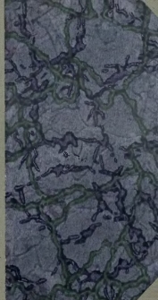 Sur l'amour de la patrie par Zamoyska. Un épisode de la persécution des Unites en Pologne par Ottonowna