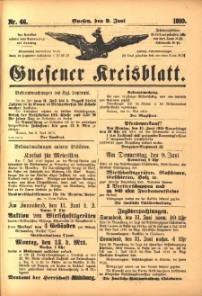 Gnesener Kreisblatt 1910.06.09 Nr46