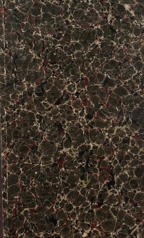 Prince Adam Czartoryski and lord Dudley Coutts Stuart. P. 2