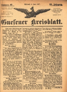 Gnesener Kreisblatt 1917.06.06 Jg.66 Nr45