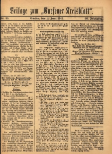 Beilage zum „Gnesener Kreisblatt” 1917.06.06 Nr45