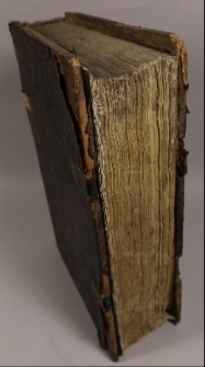 Summa theologica. Cum Tabula Ioannis Molitoris. P. 2