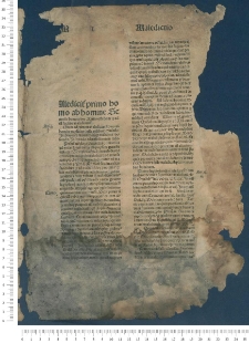 Summa praedicantium. P. I-II