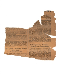 Informator Urzędowy Powiatu Gnieźnieńskiego 1939.01.11 R.88 Nr1