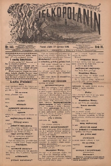 Wielkopolanin 1898.06.24 R.16 Nr142
