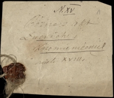 "Różne z akt łuckich i krzemienieckich 18 w." - akta procesów sądowych