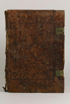 Epistolae, adiecta Tabula Theodorii Laelii. P. I-II