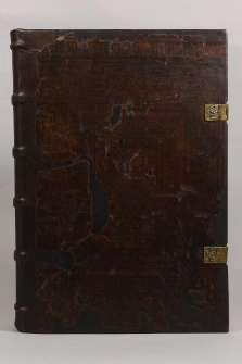 Consilia, cum tabula Ludovici Bolognini