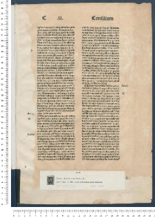 Summa praedicantium. P. I-II