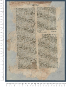 Sermones Thesauri novi de tempore et de sanctis