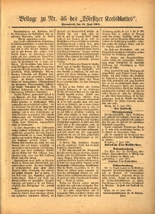 Beilage zu Nr.46 des „Wirsitzer Kreisblattes” 1901.06.15