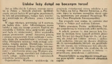 Lisków leży dotąd na bocznym torze