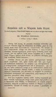 Kopalnia Soli w Wapnie koło Kcyni