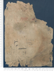 Infortiatum, cum glossa ordinaria Accursii Florentini et Summariis Hieronymi Clarii