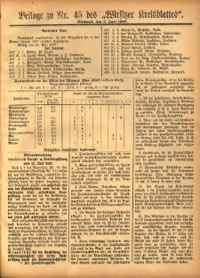 Beilage zu Nr.45 des „Wirsitzer Kreisblattes” 1907.06.05