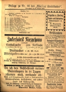 Beilage zu Nr.66 des „Wirsitzer Kreisblattes” 1907.08.17