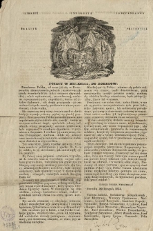 Polacy w Bruxelli, do rodaków